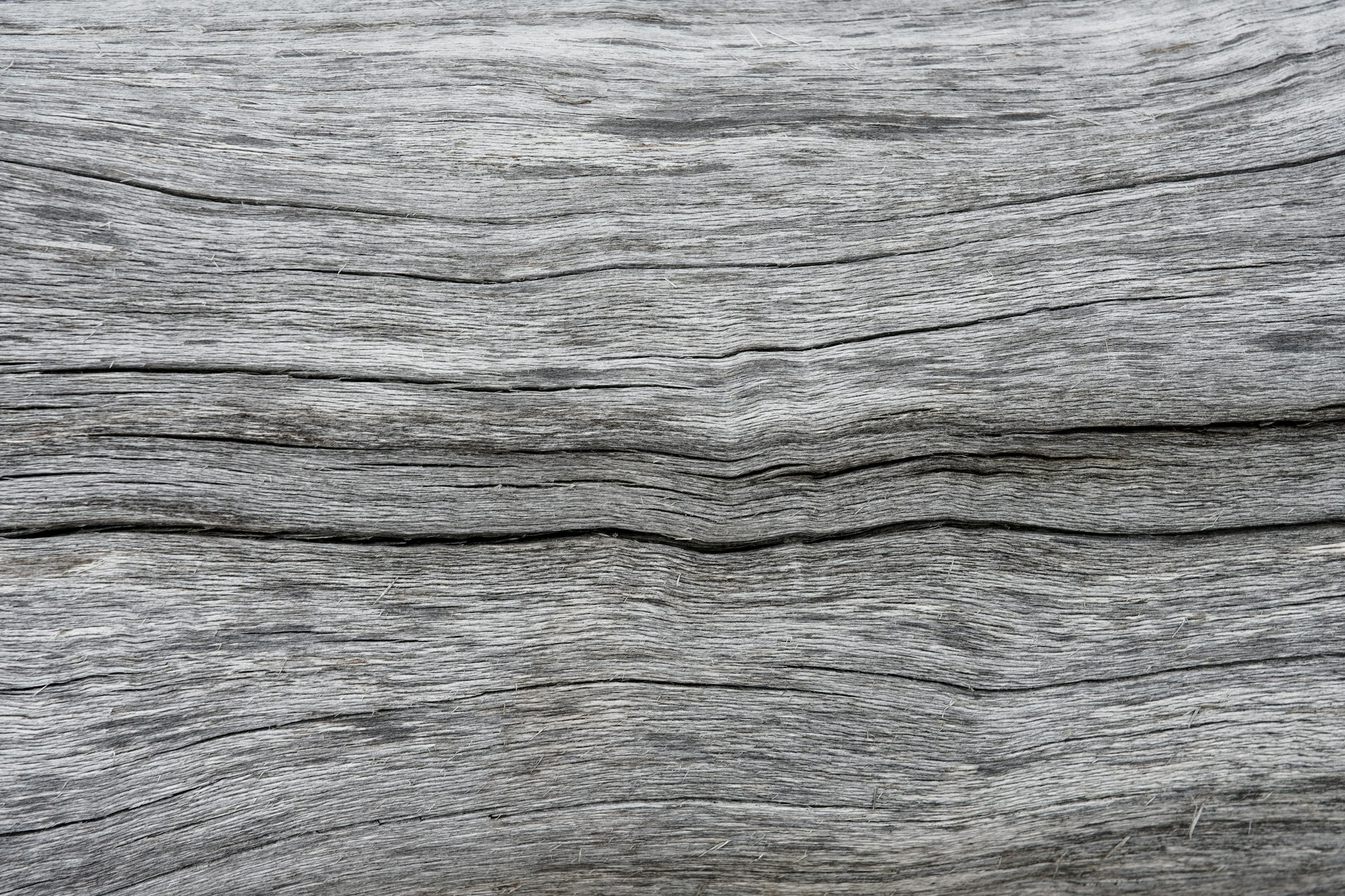 Close-up of natural wood grain texture